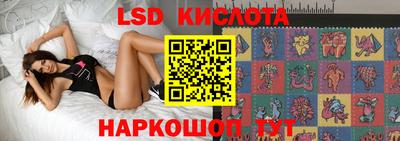 PSILOCYBIN Можайск