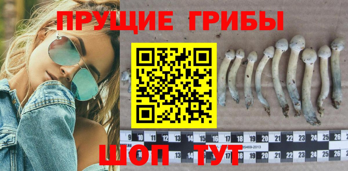 Галлюциногенные грибы Magic Shrooms Жигулёвск