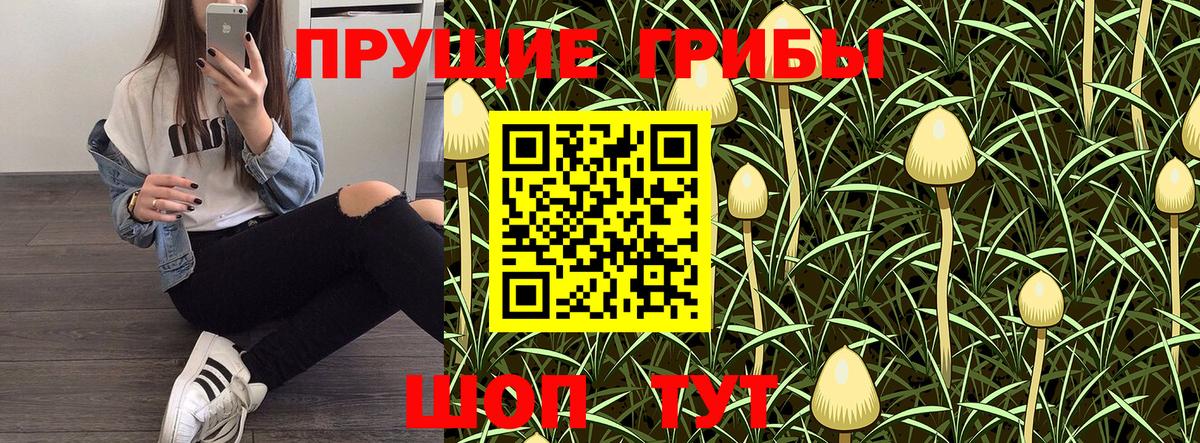Галлюциногенные грибы мухоморы  Вход с VPN  Жигулёвск  Галлюциногенные грибы GOLDEN TEACHER 